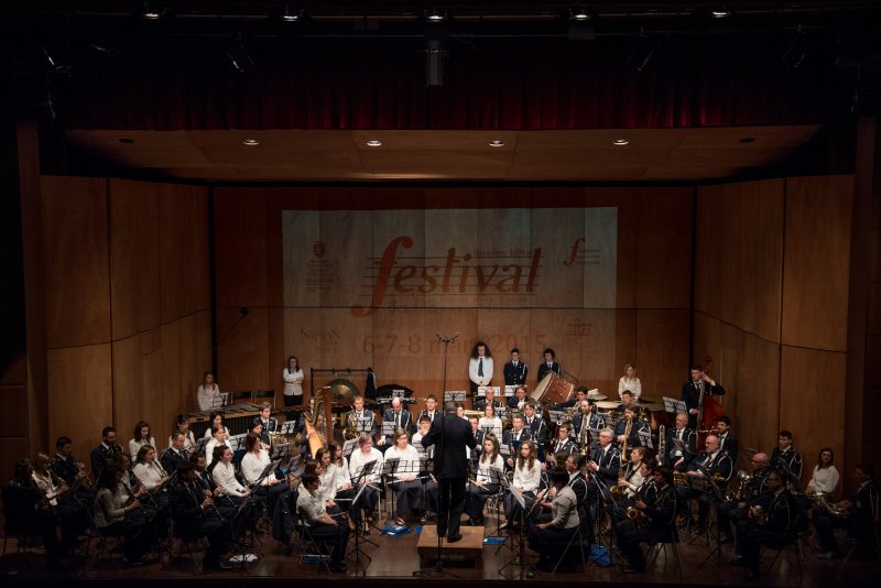 Festival des harmonies 2015 (Foto Luca Di Nardo)