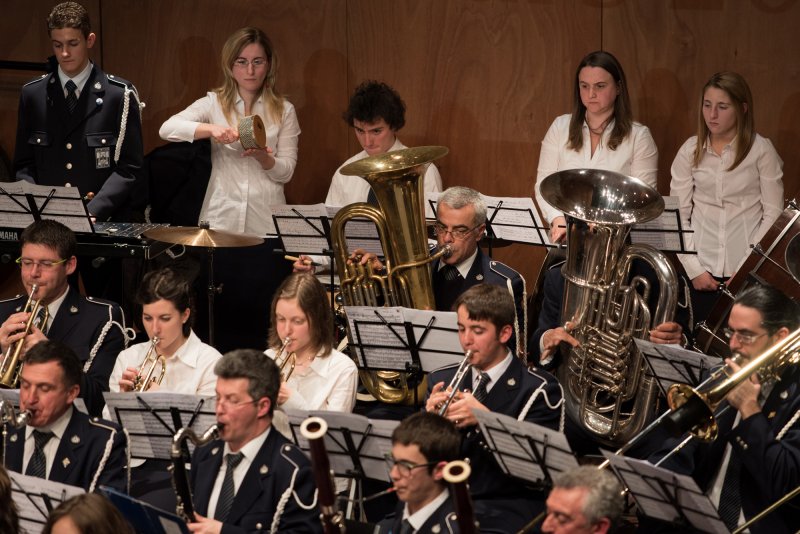 Festival des harmonies 2015 (Foto Luca Di Nardo)