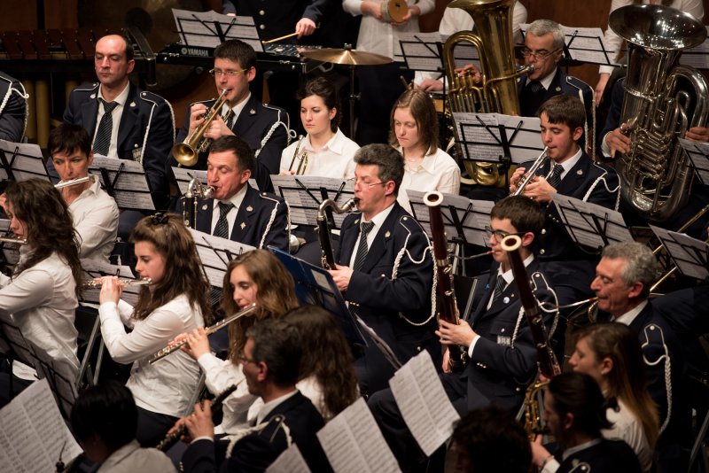 Festival des harmonies 2015 (Foto Luca Di Nardo)