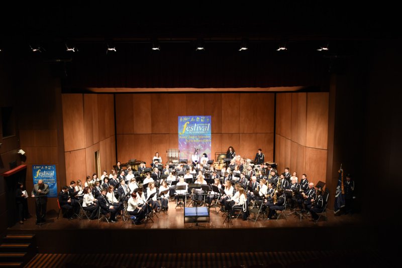 Festival des harmonies 2016 (Foto: Luca Di Nardo)