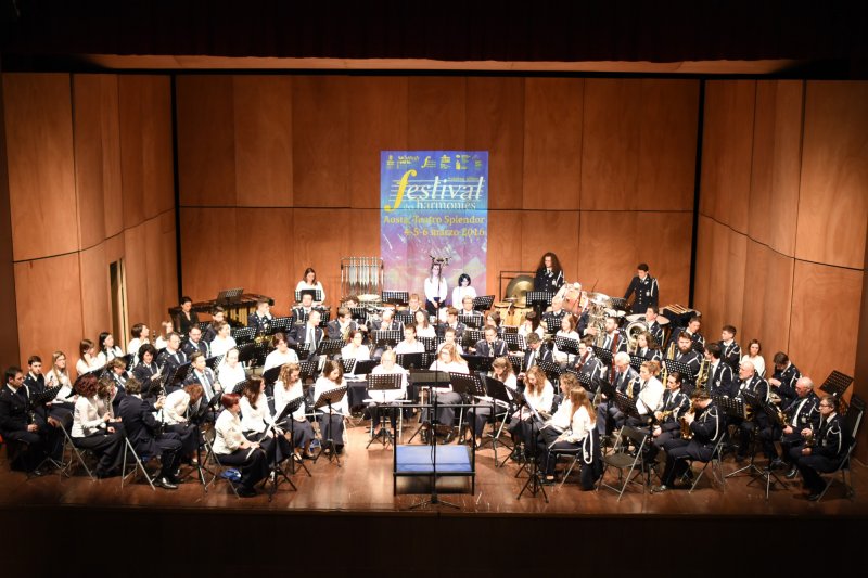 Festival des harmonies 2016 (Foto: Luca Di Nardo)