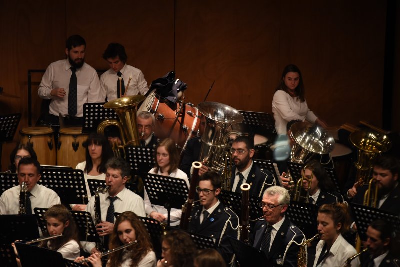 Festival des harmonies 2016 (Foto: Luca Di Nardo)