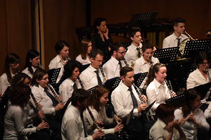 Festival des harmonies 2016 (Foto: Luca Di Nardo)