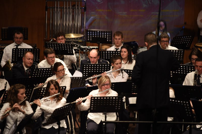 Festival des harmonies 2016 (Foto: Luca Di Nardo)