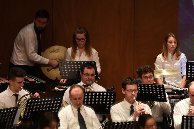 Festival des harmonies 2016 (Foto: Luca Di Nardo)