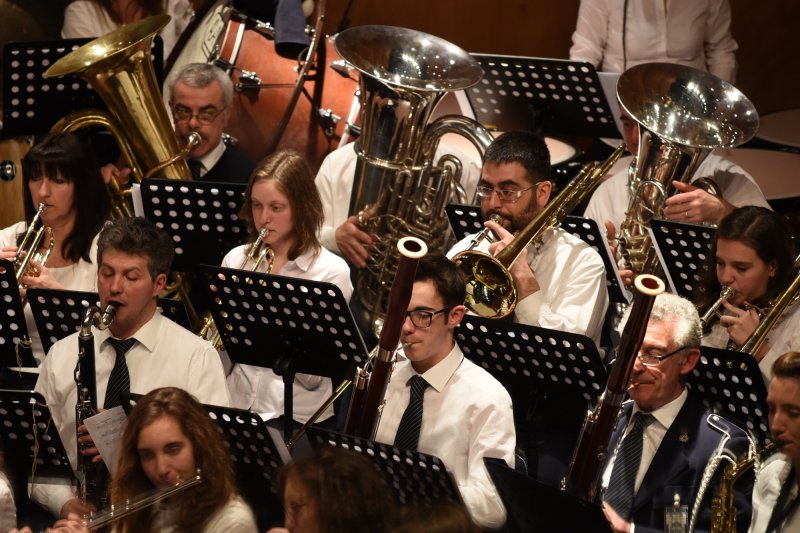 Festival des harmonies 2016 (Foto: Luca Di Nardo)